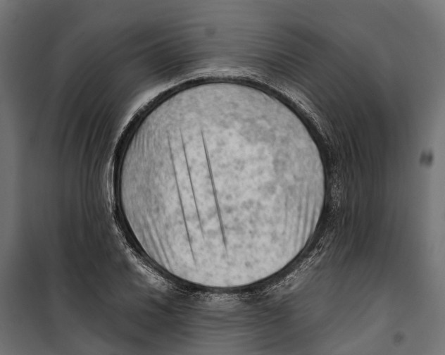 X0000099981030200806201421