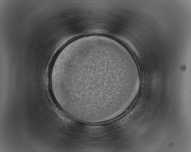 X0000099981031200806201421