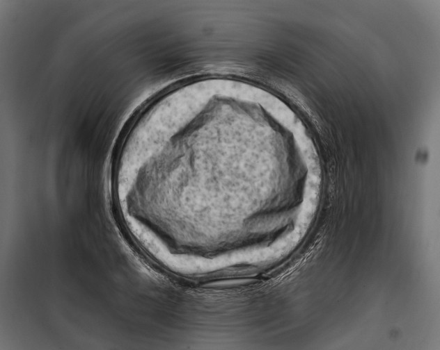 X0000099981032200806201421