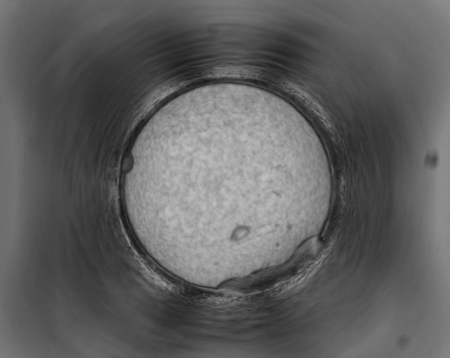 X0000099981033200806201421