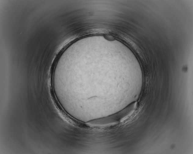 X0000099981034200806201421