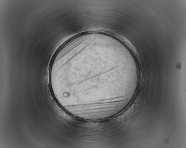 X0000099981036200806201421