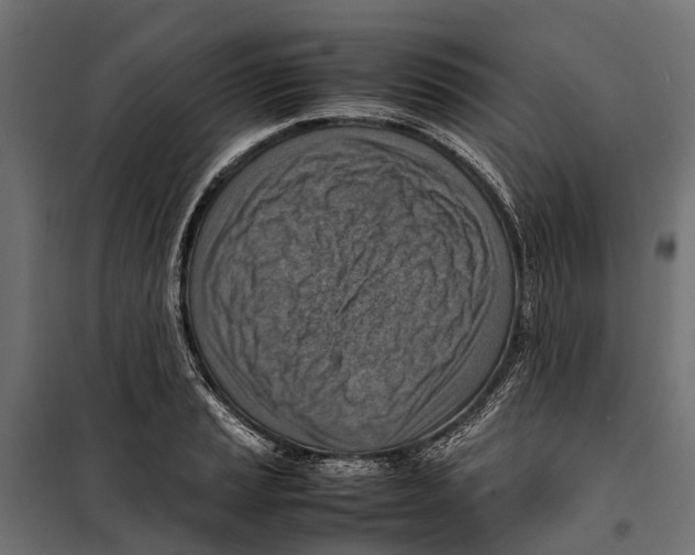 X0000099981037200806201421