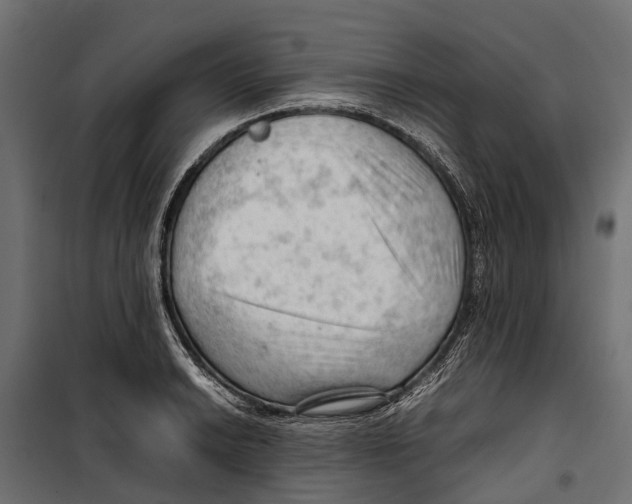 X0000099981038200806201421