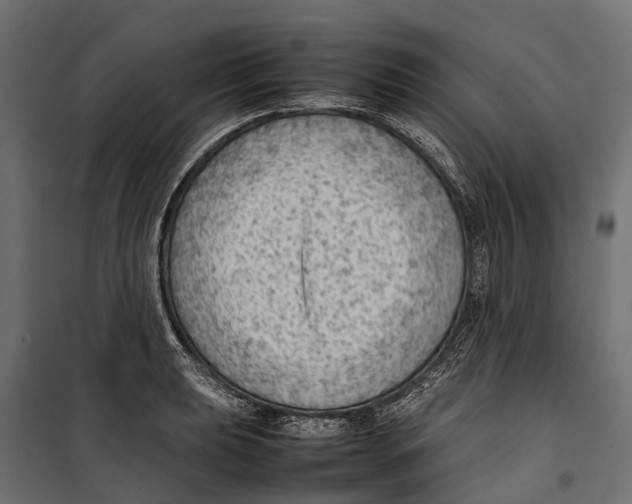 X0000099981039200806201421