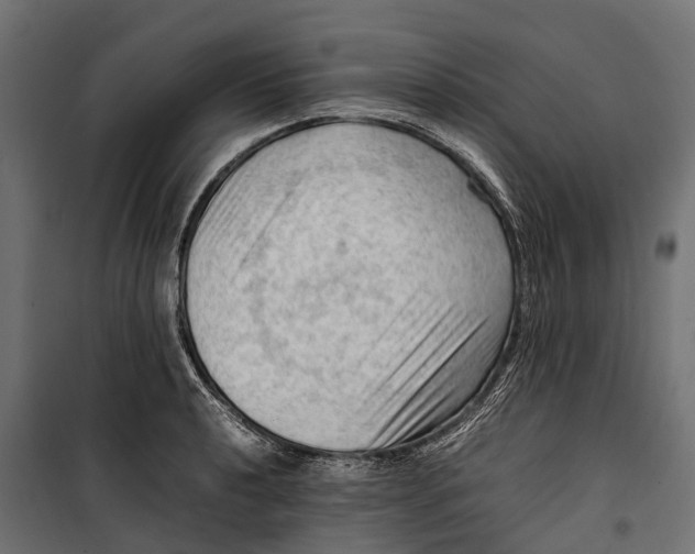 X0000099981040200806201421