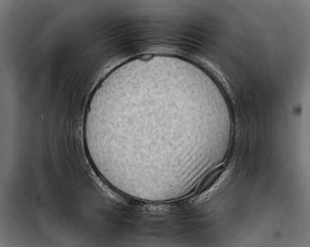 X0000099981041200806201421