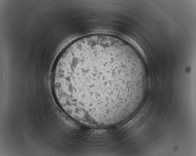 X0000099981043200806201421