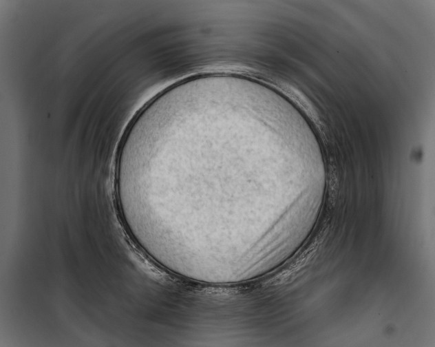 X0000099981044200806201421