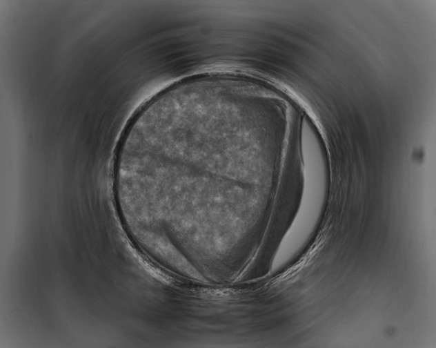 X0000099981045200806201421