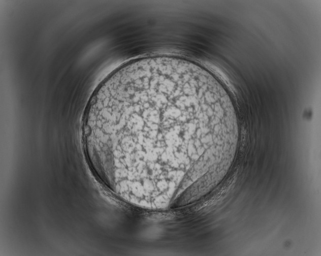 X0000099981047200806201421