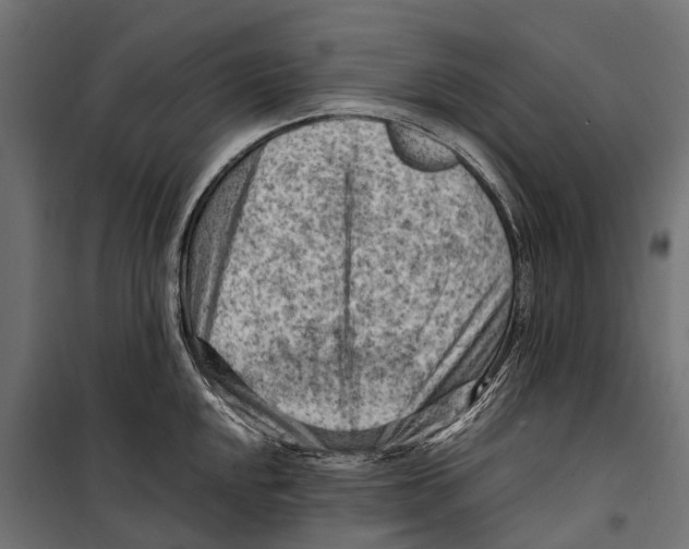 X0000099981048200806201421