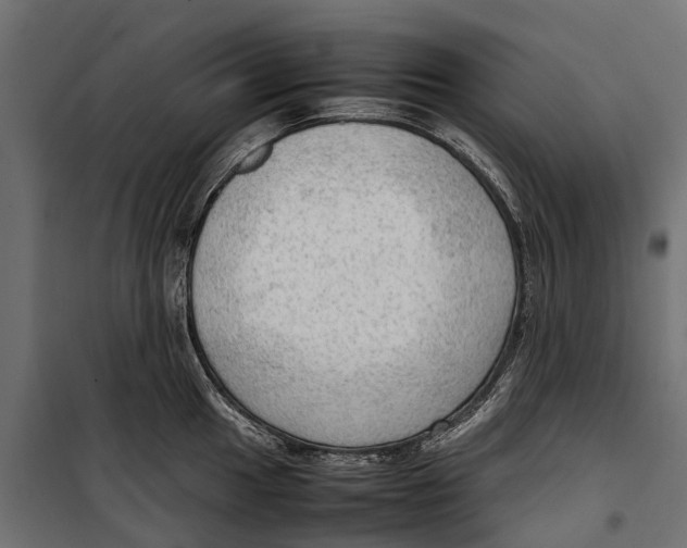 X0000099981049200806201421