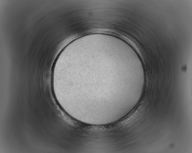 X0000099981050200806201421