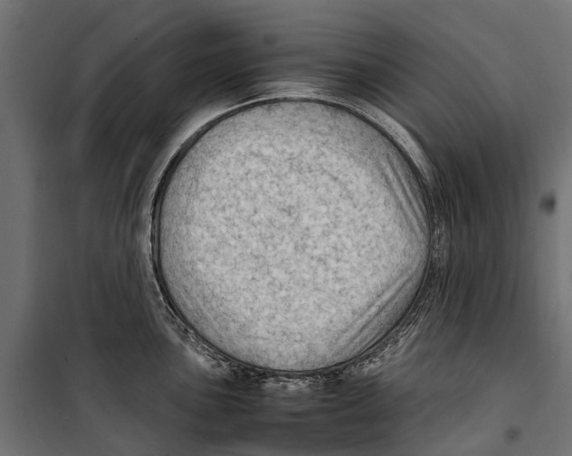 X0000099981051200806201421