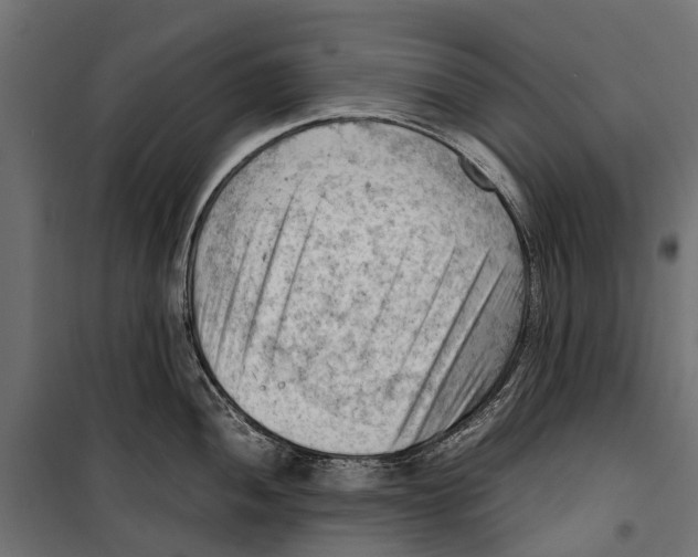 X0000099981052200806201421