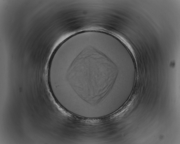 X0000099981053200806201421