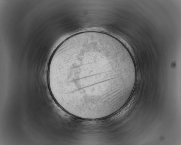 X0000099981054200806201421