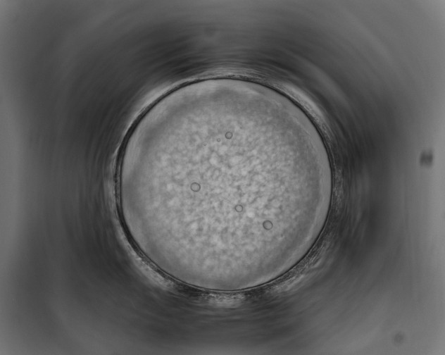 X0000099981055200806201421