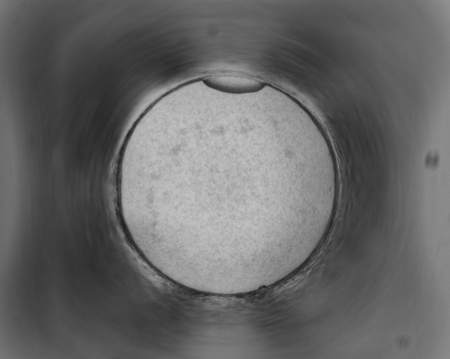 X0000099981056200806201421