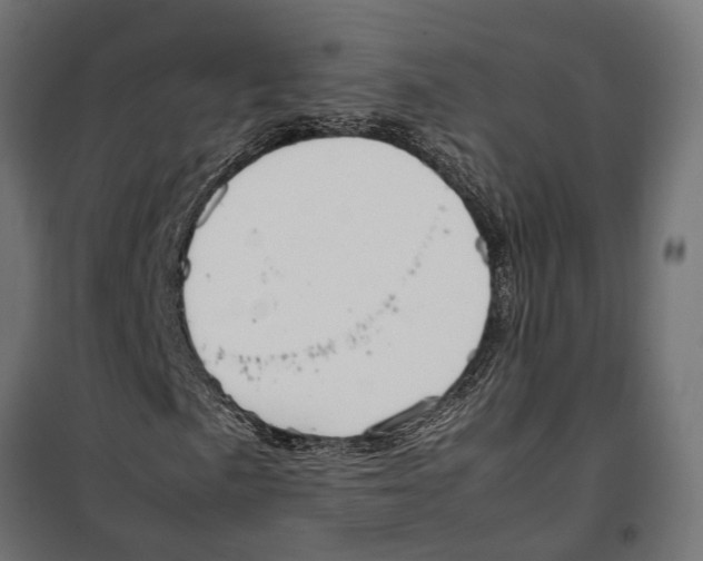 X0000099981057200806201420