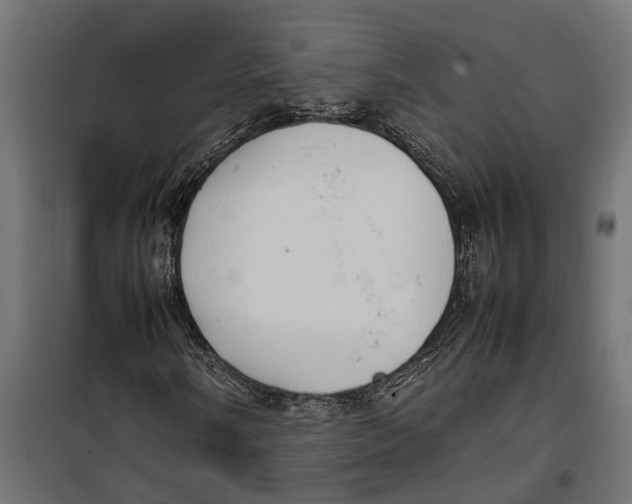 X0000099981058200806201420