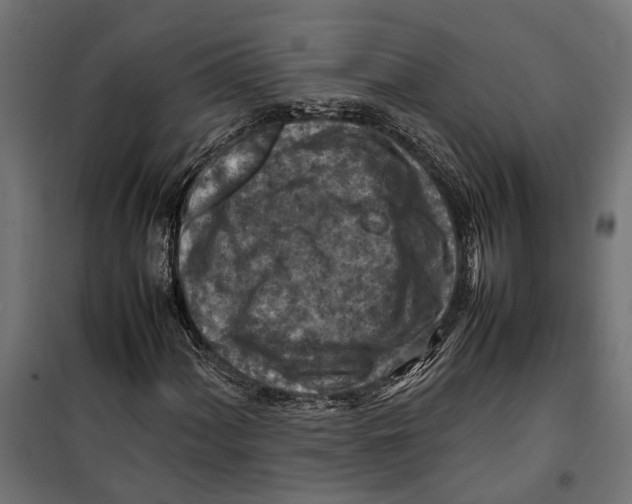 X0000099981060200806201420