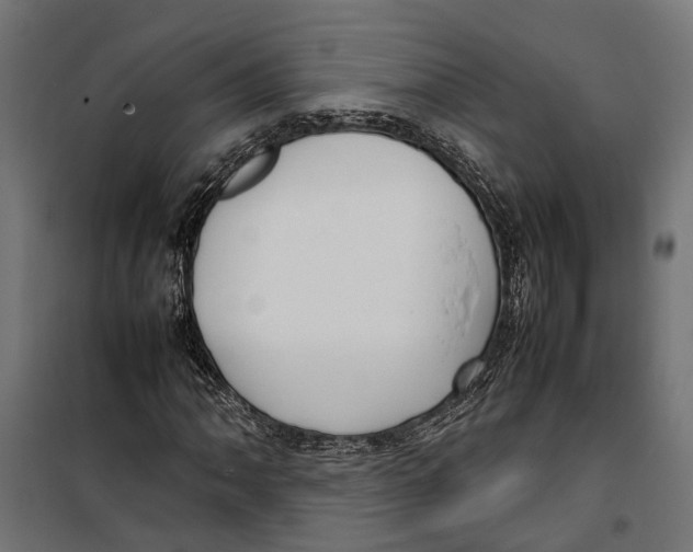 X0000099981062200806201420