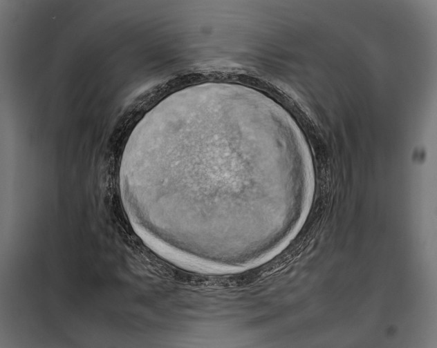 X0000099981063200806201420