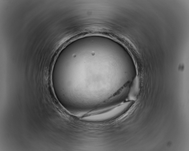 X0000099981065200806201420