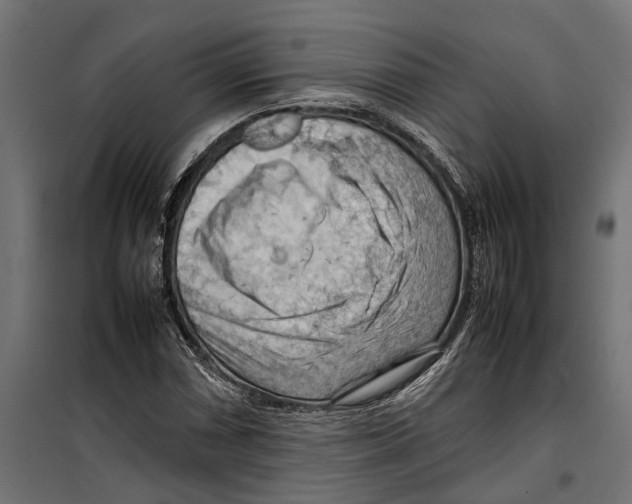 X0000099981066200806201420