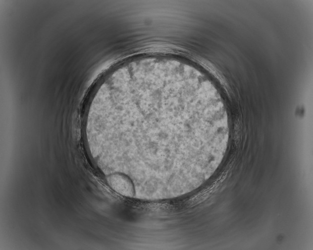 X0000099981067200806201420