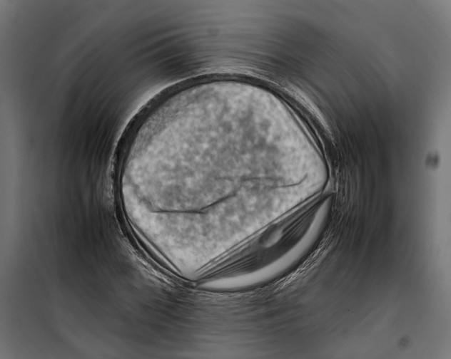 X0000099981068200806201420