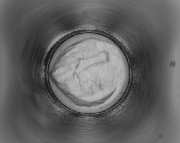 X0000099981070200806201420