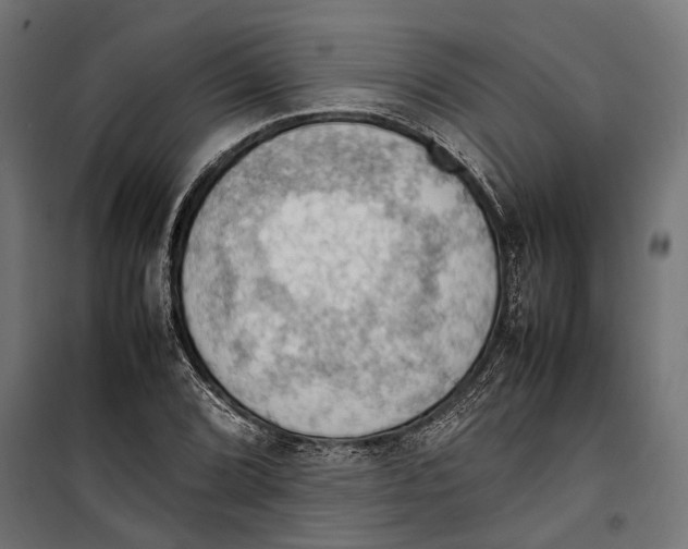 X0000099981072200806201420