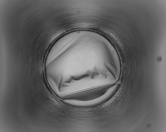 X0000099981073200806201420