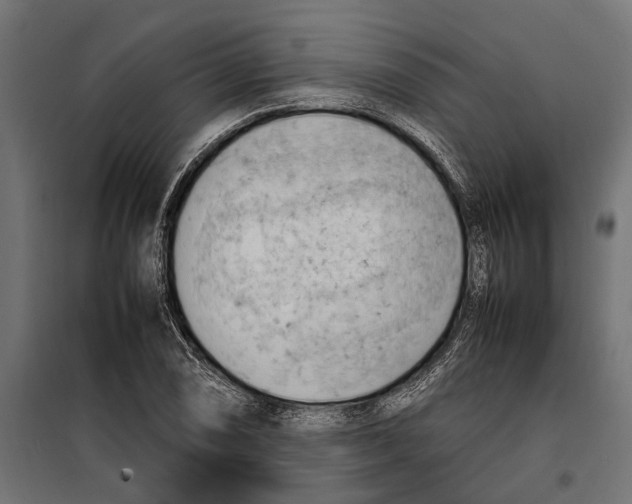 X0000099981074200806201420