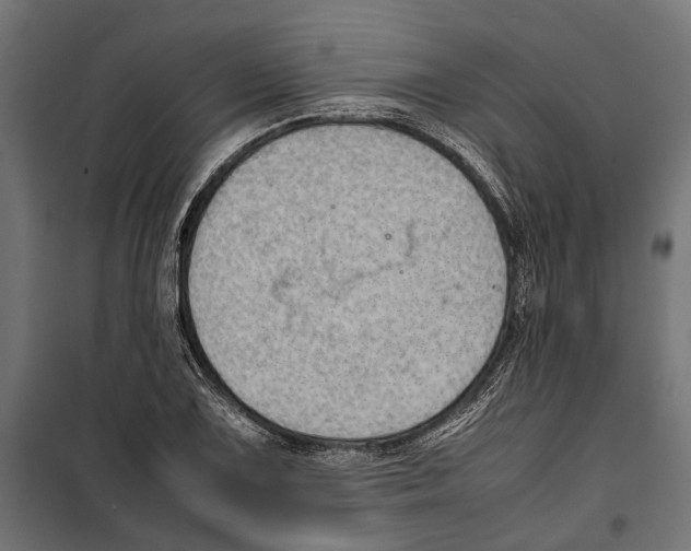 X0000099981075200806201420