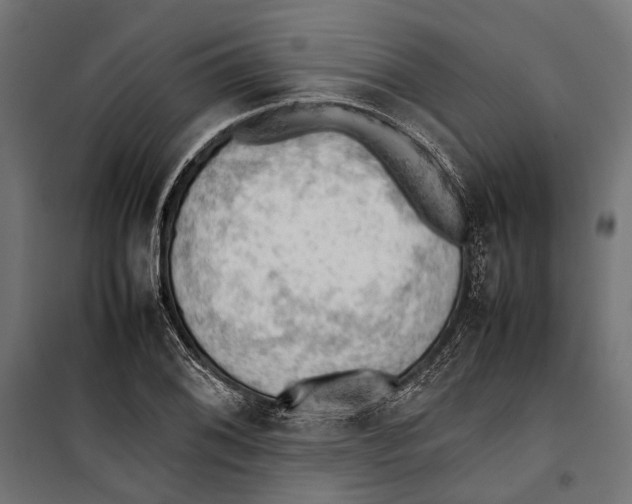 X0000099981076200806201420