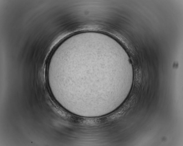 X0000099981078200806201420