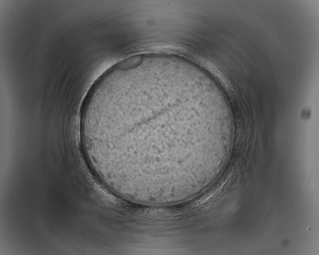 X0000099981079200806201420