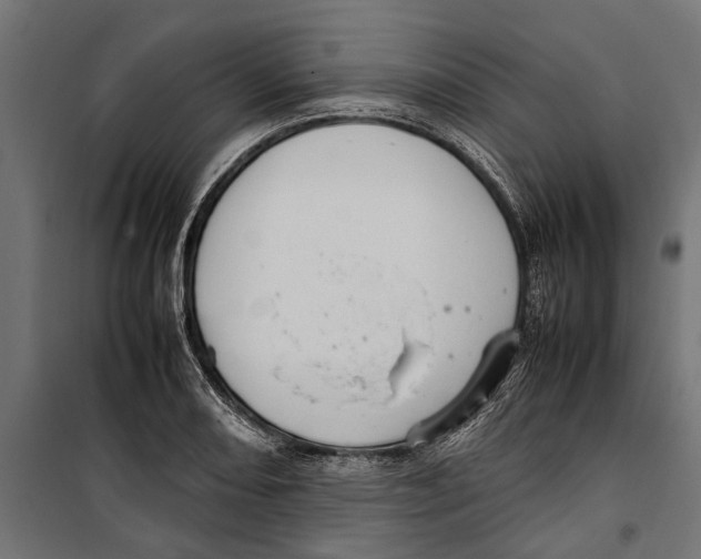 X0000099981082200806201420