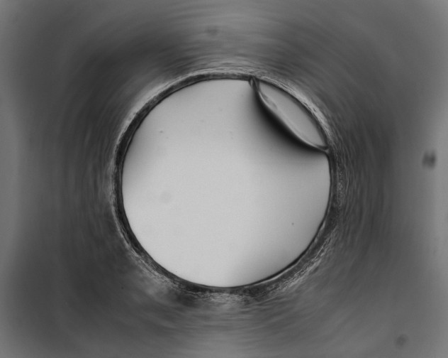 X0000099981085200806201420