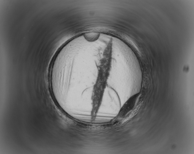 X0000099981087200806201420