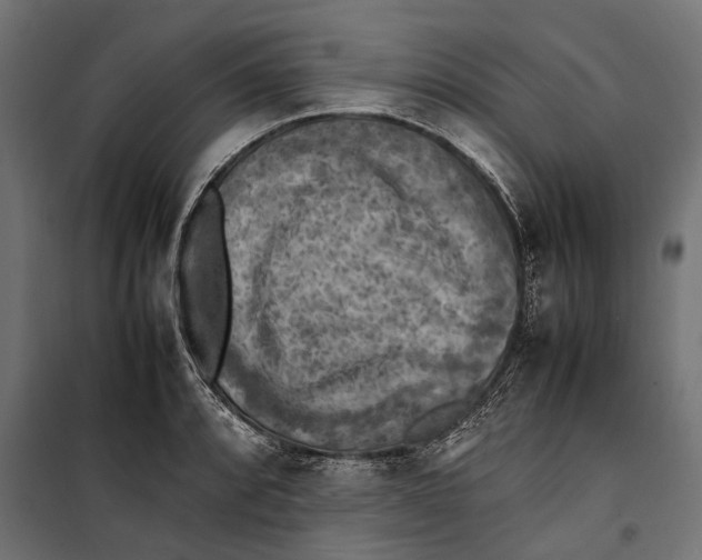 X0000099981088200806201420