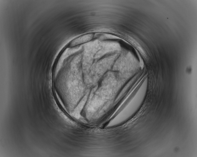 X0000099981092200806201420