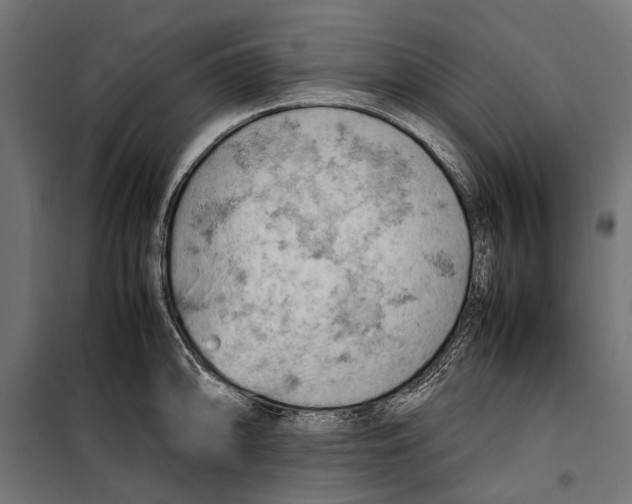 X0000099981094200806201420