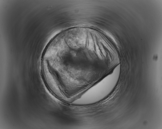 X0000099981095200806201420