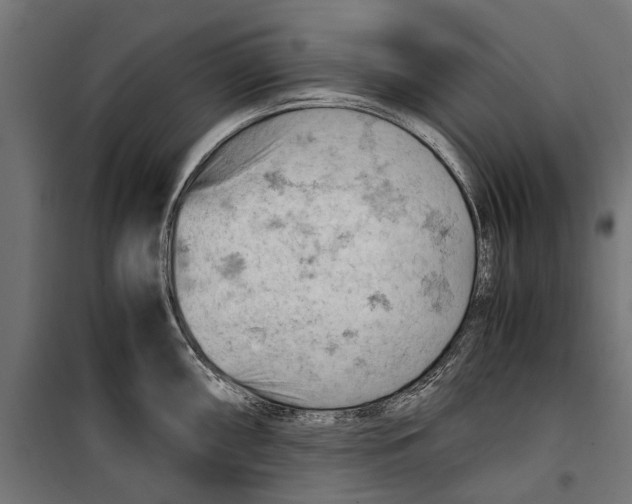 X0000099981098200806201420