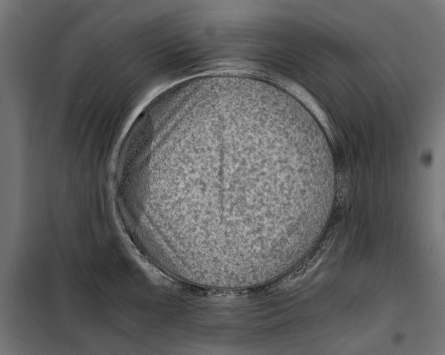 X0000099981099200806201420